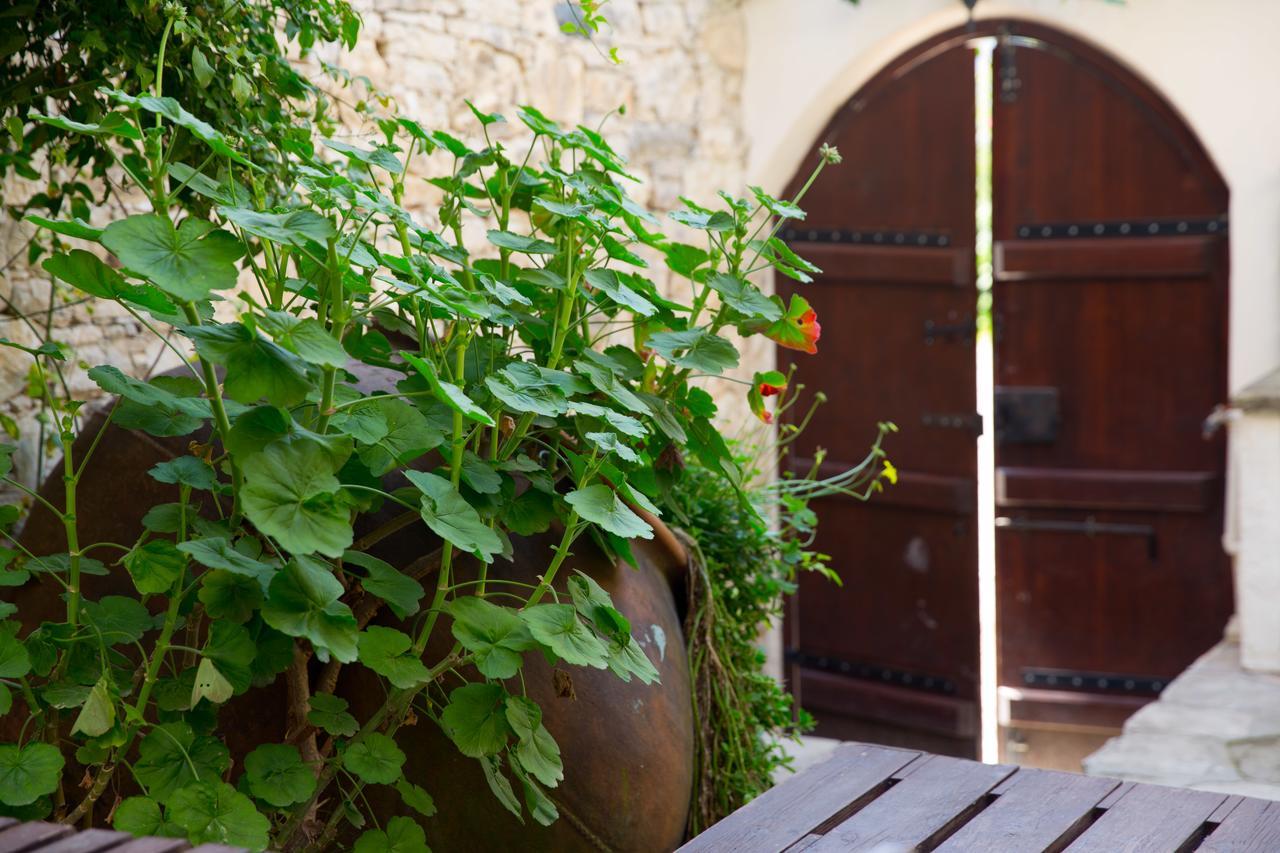 Willa The Old Olive Mill House By Trulycyprus Dhoros Zewnętrze zdjęcie