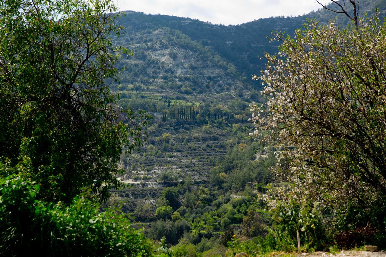 Willa The Old Olive Mill House By Trulycyprus Dhoros Zewnętrze zdjęcie